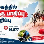 தமிழகத்தில் டெங்கு பாதிப்பு
